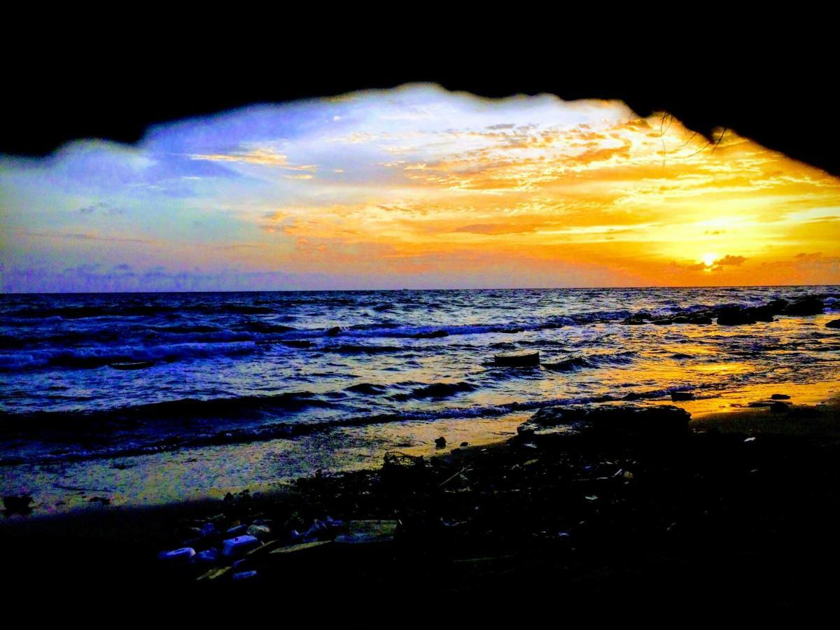 דואונג דונג Roise Paradise מראה חיצוני תמונה